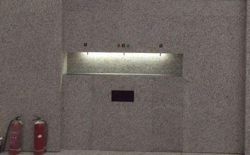 企業 碧麗強勢上線遼寧朝陽高鐵站