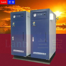 全自動蒸汽發生器 供應信息